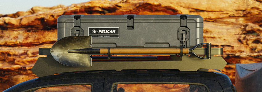 Pelican